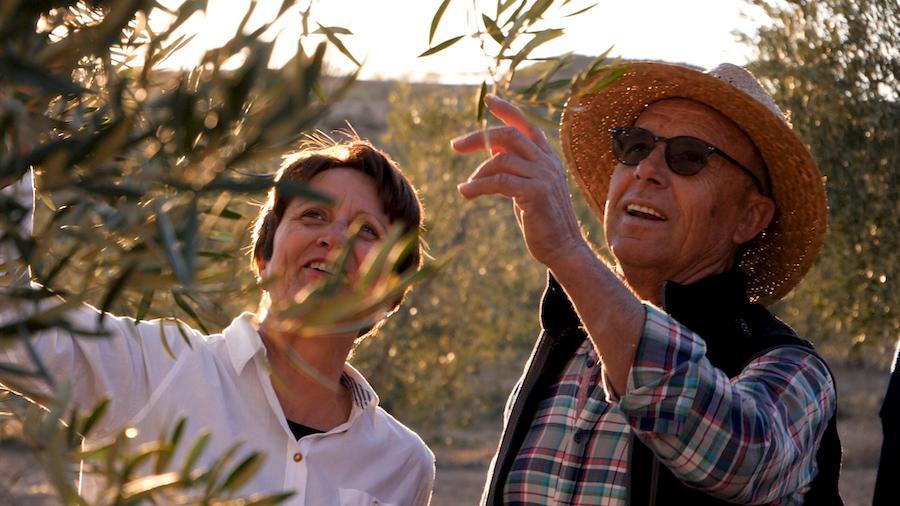 Organic Olive Oil Producers - The Deortegas Family - Murcia, Spain 