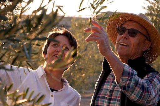 Olivenölproduzenten: Die Familie Deortegas