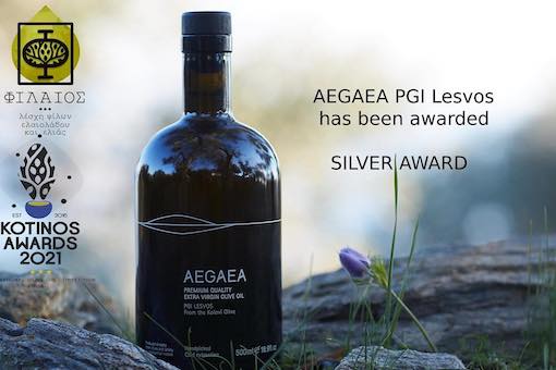 Greek Olive Oils Win Top Awards